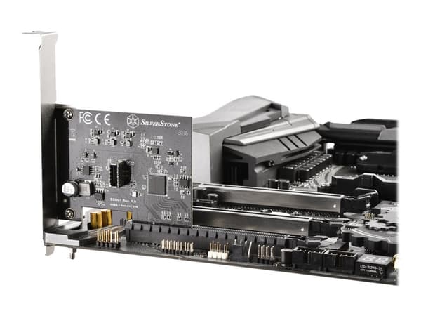 SilverStone ECU07 - USB-adapter - PCIe 3.0 x4 låg profil - USB 3.2 Gen 2x2 x 1
