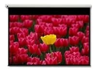 Optoma Pantalla 16:9 2656 x 1494mm, 3,05 m (120"), 16:9
