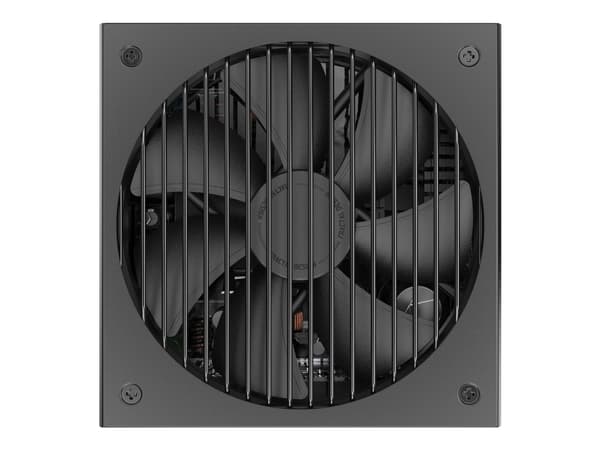 Fractal Design Ion Gold - Strømforsyning (intern) - ATX12V 2.52/ EPS12V 2.92 - 80 PLUS Gold - AC 100-240 V - 750 watt - Europa - svart