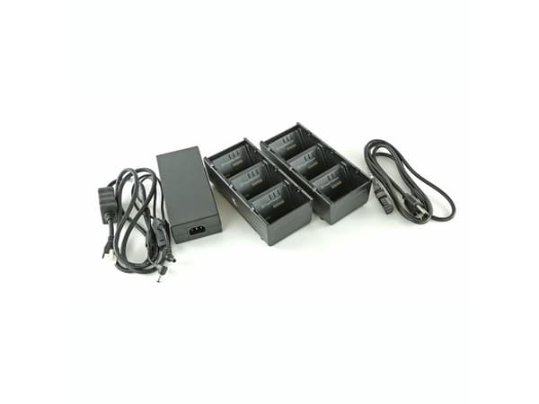 Zebra 3-Slot Battery Charger Connected via Y Cable - Batterilader - utgangskontakter: 3 - USA (en pakke 2) - for QLn 220, 220 Healthcare, 320, 420; Z