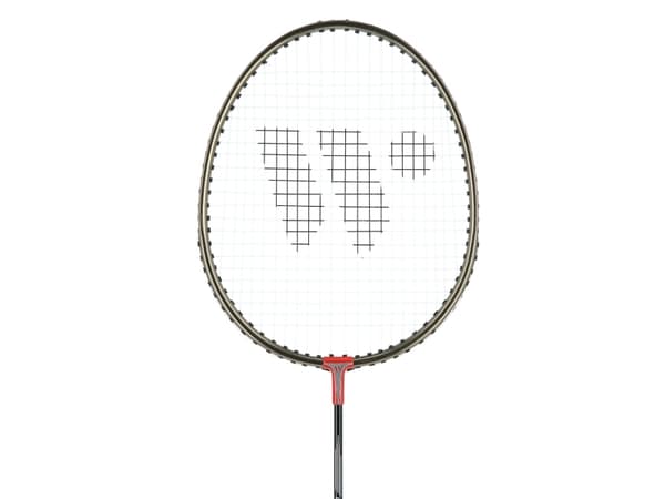 Wish Alumtec 316K badmintonracket set