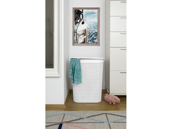 Rotho Brisen, 50 L, Suorakulmainen, Muovi, Antrasiitti, Ohje, 340 mm