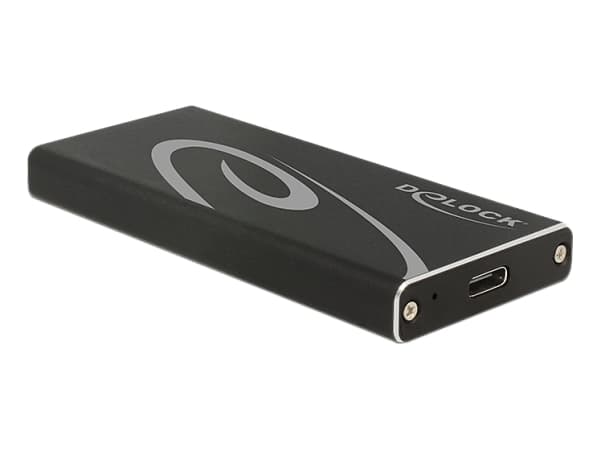 Delock - Förvaringslåda - M.2 Card - USB 3.1 (Gen 2) - svart