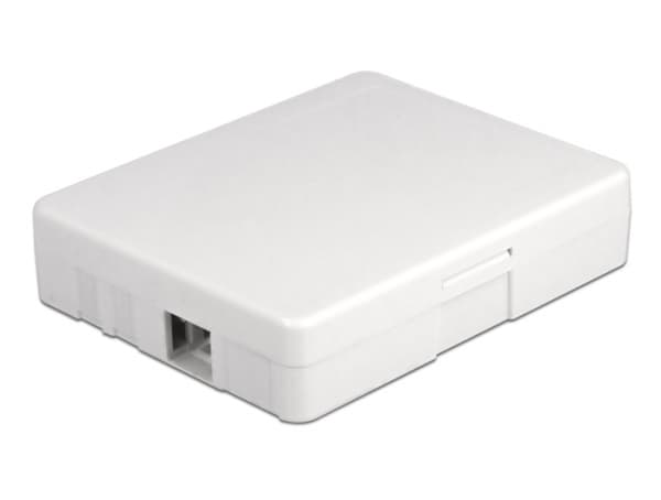 Delock - Fiber-optic connection box - veggmonterbar - hvit