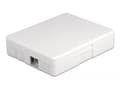 Miniatyrbilde 5 av 5: Delock - Fiber-optic connection box - veggmonterbar - hvit