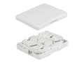 Miniatyrbilde 2 av 5: Delock - Fiber-optic connection box - veggmonterbar - hvit