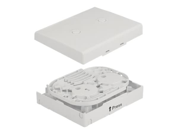 Delock - Fiber-optic connection box - veggmonterbar - hvit