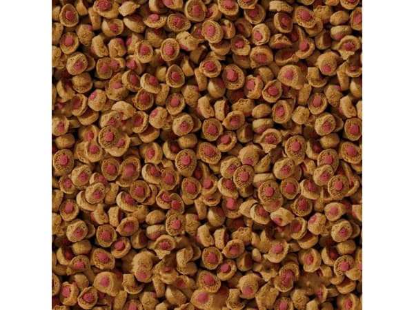 Koi Professional Kesäruoka 500 g- pokarm specjalny