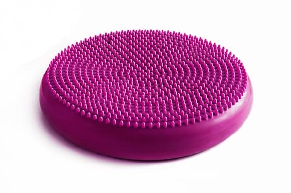 Tiguar Sensorimotor pute Air Disc plomme