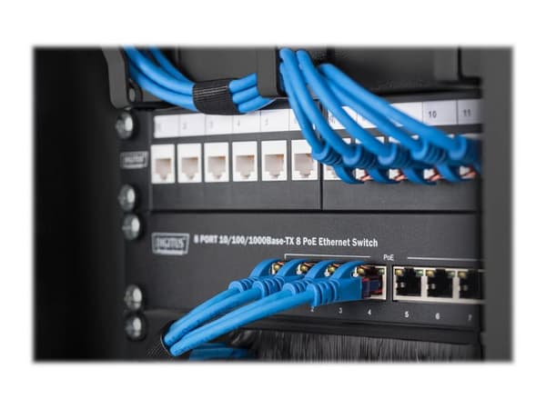DIGITUS DN-10-ORG-1U-B - Kabelstyringspanel med ringer - rackmonterbar - svart, RAL 9005 - 1U - 10"