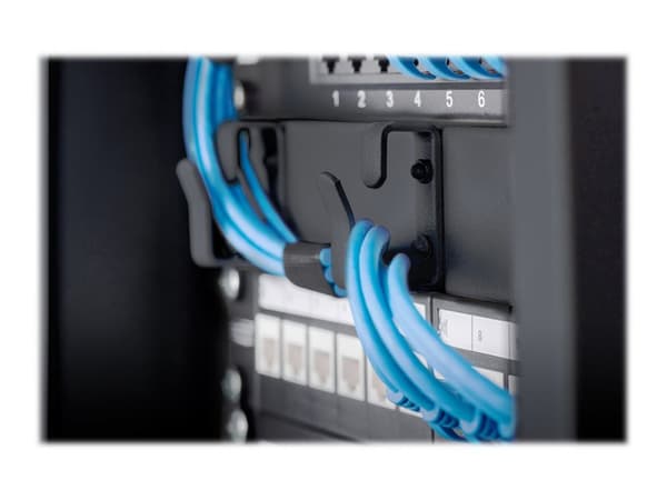 DIGITUS DN-10-ORG-1U-B - Kabelstyringspanel med ringer - rackmonterbar - svart, RAL 9005 - 1U - 10"