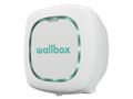 Pikkukuva 5 / 5: Wallbox Pulsar Plus, Valkoinen, Seinä, Musta, AC, Tyyppi 2, IK08 - 7m