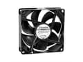 Pikkukuva 2 / 2: Sunon EE92251B1-A99 Aksial tuuletin 12 V/DC 87,47 m³/h (L x B x K) 92 x 92 x 25 mm