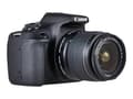 Miniatyrbilde 5 av 5: Canon EOS 2000D - Digitalkamera - SLR - 24.1 MP - APS-C - 1080 p / 30 fps - 3optisk x-zoom EF-S 18-55 mm III og EF 75-300 mm III linser - Wi-Fi, NFC