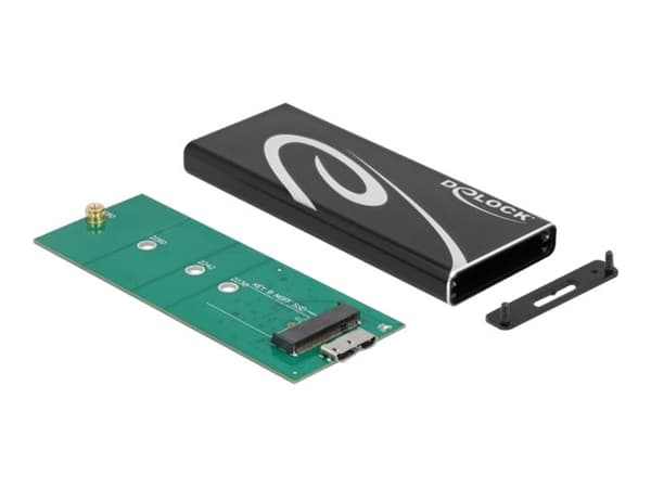 Delock - Lagringspakke - M.2 - 1 kanal - M.2-kort - USB 3.2 (Gen 2) - svart