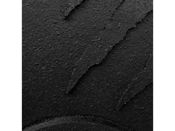 Tiguar tiguar bumper plate 15 kg V2