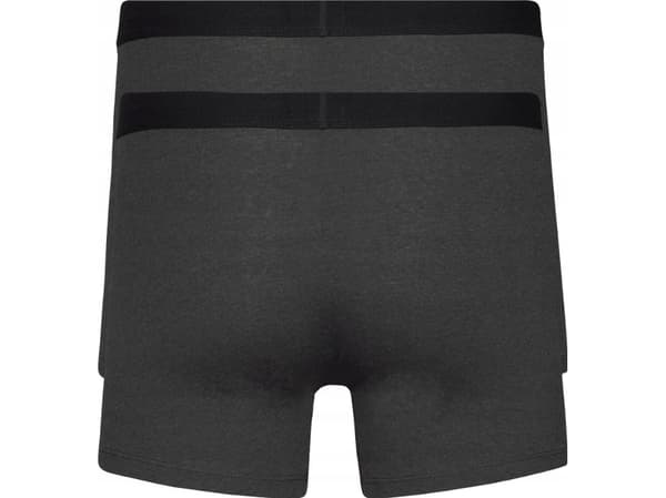 Levi`s Levi's Boxer 2 Pairs Briefs 37149-0404 szary M