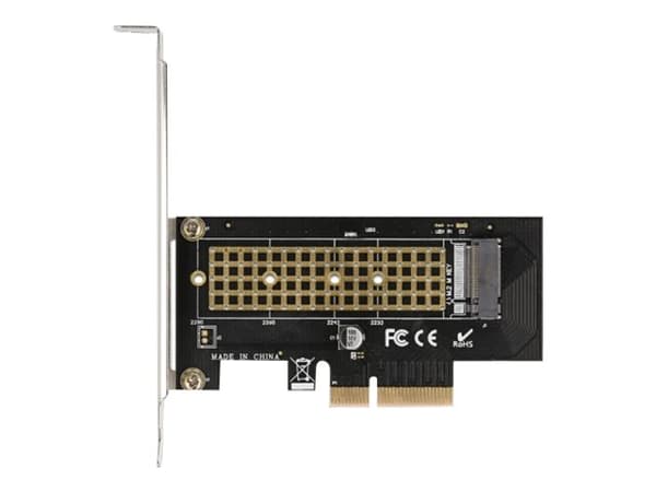 Delock - Lagringskontroll - M.2 - 1 kanal - M.2 NVMe-kort - PCIe 4.0 x4