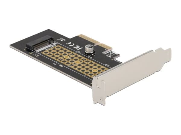 Delock - Lagringskontroll - M.2 - 1 kanal - M.2 NVMe-kort - PCIe 4.0 x4