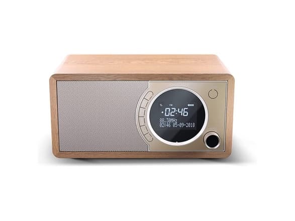 Sharp DR-450, Personal, Digital, DAB, DAB+, FM, 87,5 - 108 MHz, 174.928 - 239.2 MHz, 3 W