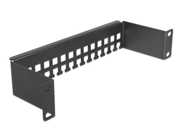 Delock - Styringsskinne for rackkabel - svart - 1U - 10"