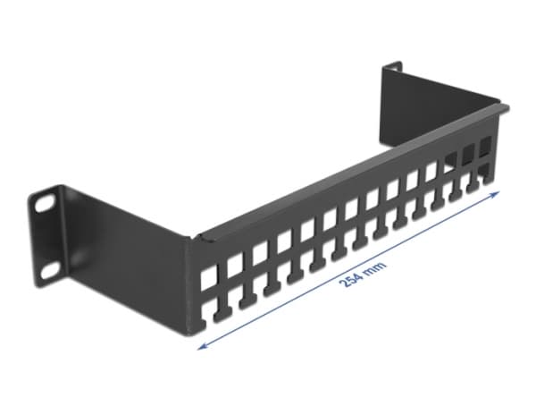 Delock - Styringsskinne for rackkabel - svart - 1U - 10"