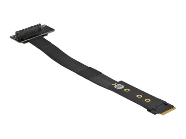 Delock - Gränssnittsadapter - U.2 NVMe - M.2 Card