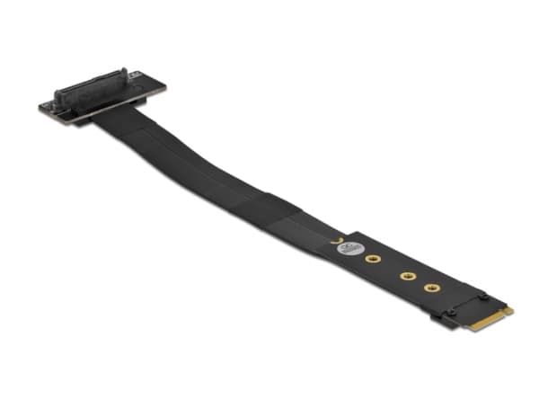Delock - Gränssnittsadapter - U.2 NVMe - M.2 Card
