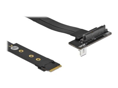 Delock - Gränssnittsadapter - U.2 NVMe - M.2 Card
