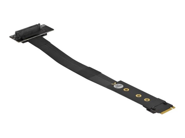 Delock - Gränssnittsadapter - U.2 NVMe - M.2 Card Svart