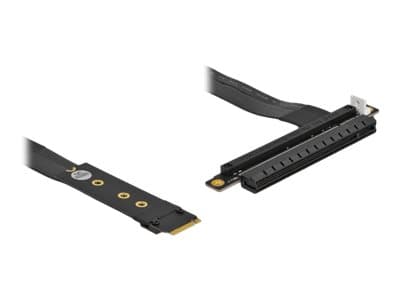 Delock M.2 Key M to PCIe x16 NVMe - Gränssnittsadapter - PCIe 3.0 x16 (NVMe) - M.2 Card