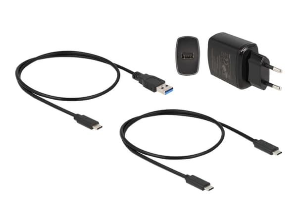 Delock - SSD-dockningsstation - fack: 2 - M.2 - M.2 NVMe Card - USB 3.2 (Gen 2) - silver