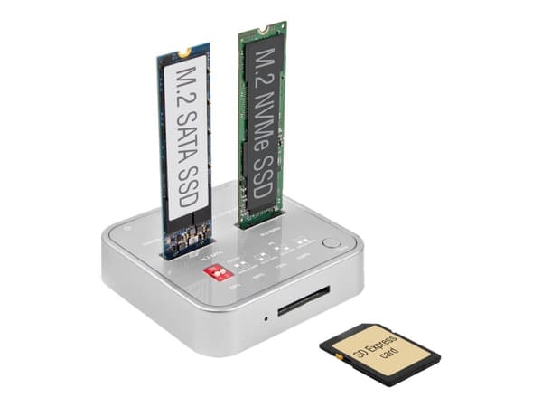 Delock - SSD-dockningsstation - fack: 2 - M.2 - M.2 NVMe Card - USB 3.2 (Gen 2) - silver