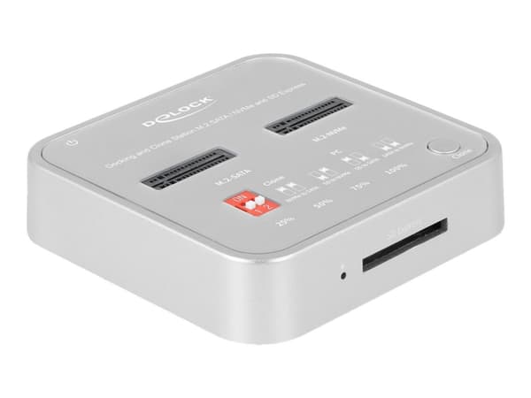 Delock - SSD-dokkestasjon - brønner: 2 - M.2 - M.2 NVMe Card - USB 3.2 (Gen 2) - sølv