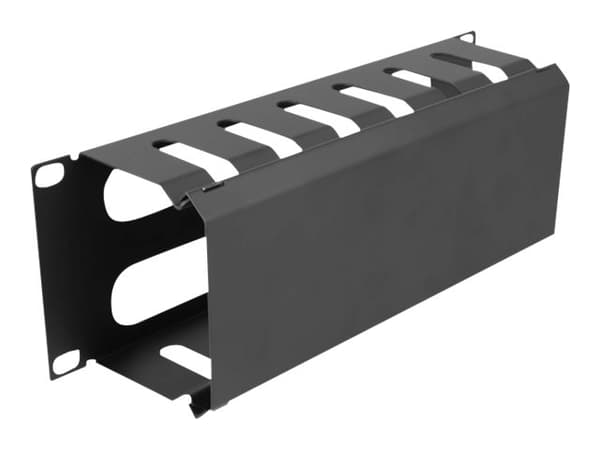 Delock - Rack cable management routing panel - with 2 openings - svart - 1U - 10"