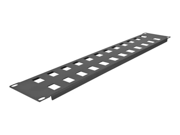 Delock - Pluggbord (blankt) - snap-in mounting - rackmonterbar - svart - 2U - 19" - 24 porter