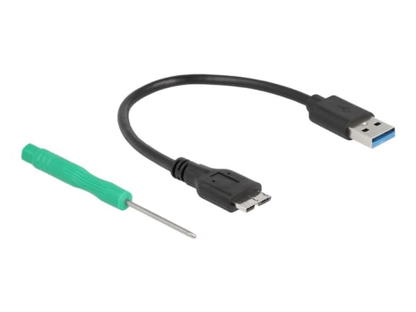Delock - Lagringspakke - mSATA - mSATA 6Gb/s - USB 3.2 (Gen 1) - svart Sort