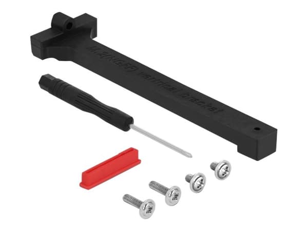 Delock M.2 key A+E male to key M slot angled with holder - Grensesnittsadapter - M.2 NVMe Card - M.2 Card Sort