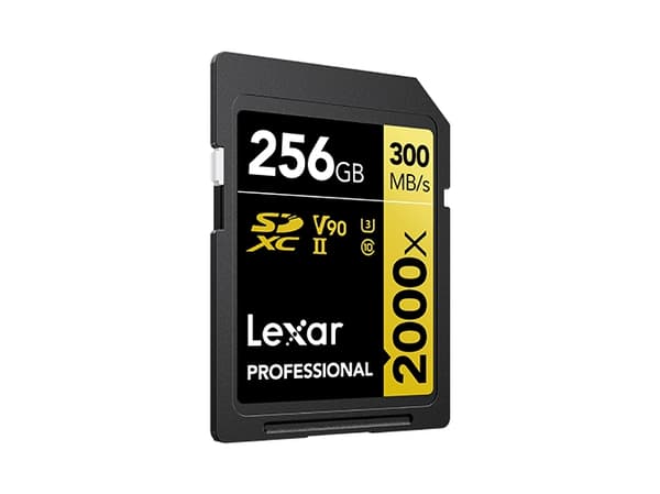 Lexar Professional 2000x SDXC 256 GB klasse 10 UHS-II/U3 V90-kort (LSD2000256G-BNNNG)