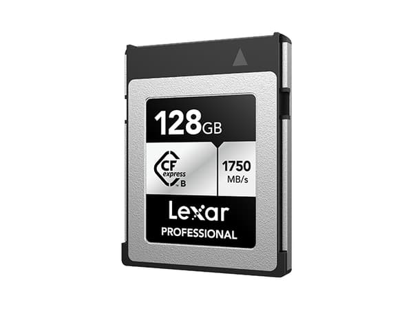 Lexar Professional SILVER series - Flashhukommelseskort - 128 GB