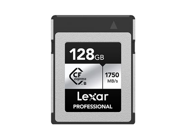 Lexar Professional SILVER series - Flashhukommelseskort - 128 GB