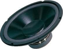 Dibeisi 10" DBS-G1001 4 ohmin kaiutin Dibeisi 10" DBS-G1001 4 ohmin kaiutin