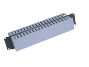 Triton 19" panel 2U with 2x cable trunking