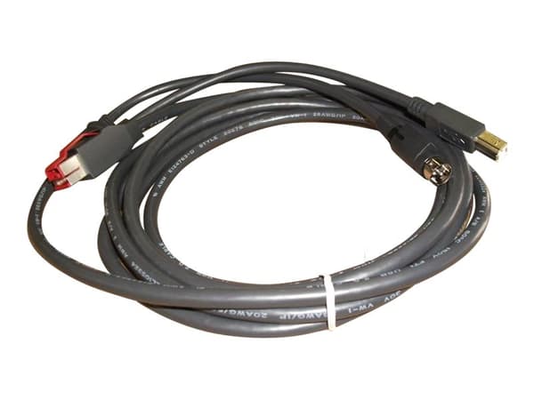 Epson - USB-kabel - USB PlusPower (24 V) (hann) til USB-type B (hann) - 3.65 m - svart