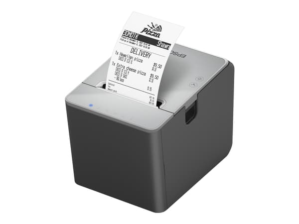 Epson TM-L100 (111), Suoralämpö, 203 x 203 DPI, Langallinen, Musta, Harmaa