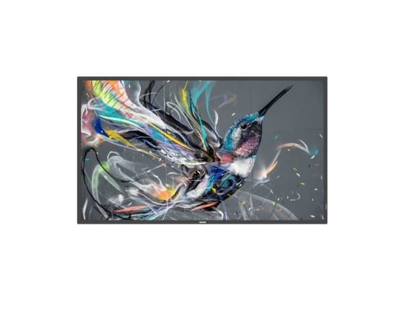 Philips 65BDL3511Q - 65" Diagonalklasse (64.5" synlig) - Q-Line LED-bakgrunnsbelyst LCD-skjerm - intelligent skilting - 4K UHD (2160p) 3840 x 2160