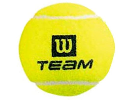 Tennisballer WILSON TEAM PRACTICE 4stk WRT111900