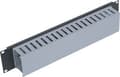 Pikkukuva 2 / 2: Triton 19" panel 2U with cable trunking, Musta, 2U