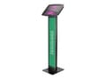 Miniatyrbilde 2 av 5: Compulocks iPad Pro 12.9" (3-6th Gen) Space Enclosure Brandable Floor Stand - Stativ (gulvstativ, hus, trimmesett, 2 nøkler) - for nettbrett - låsbar
