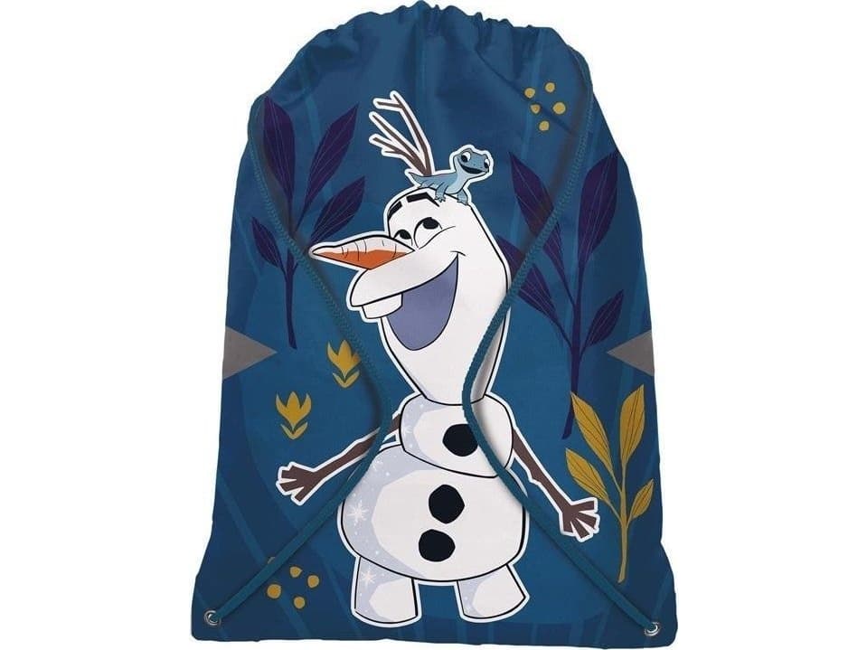 Frozen gym bag